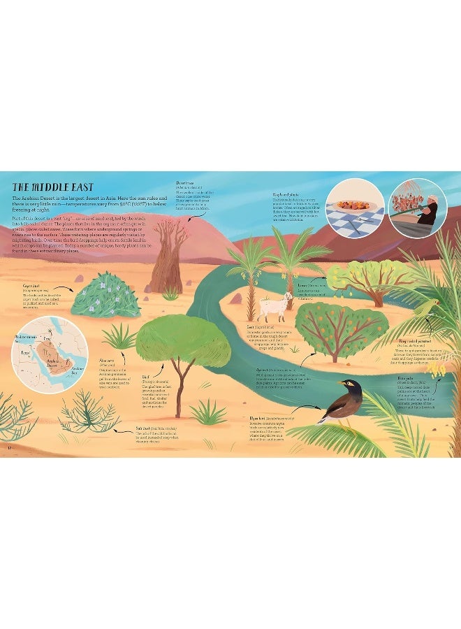The World of Plants: An Illustrated Guide to the Wonders of the Wild - Image 2