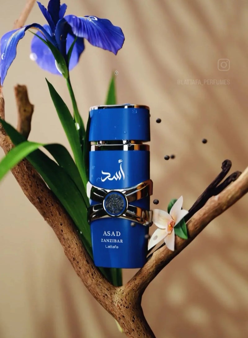Lattafa Asad Zanzibar Eau de Parfum for Men - 100ml - Image 5