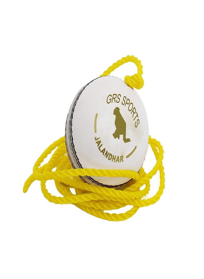 Grès GRS Cricket Hanging Ball (Training Ball, Ball with Rope) (Leather) - Image 1