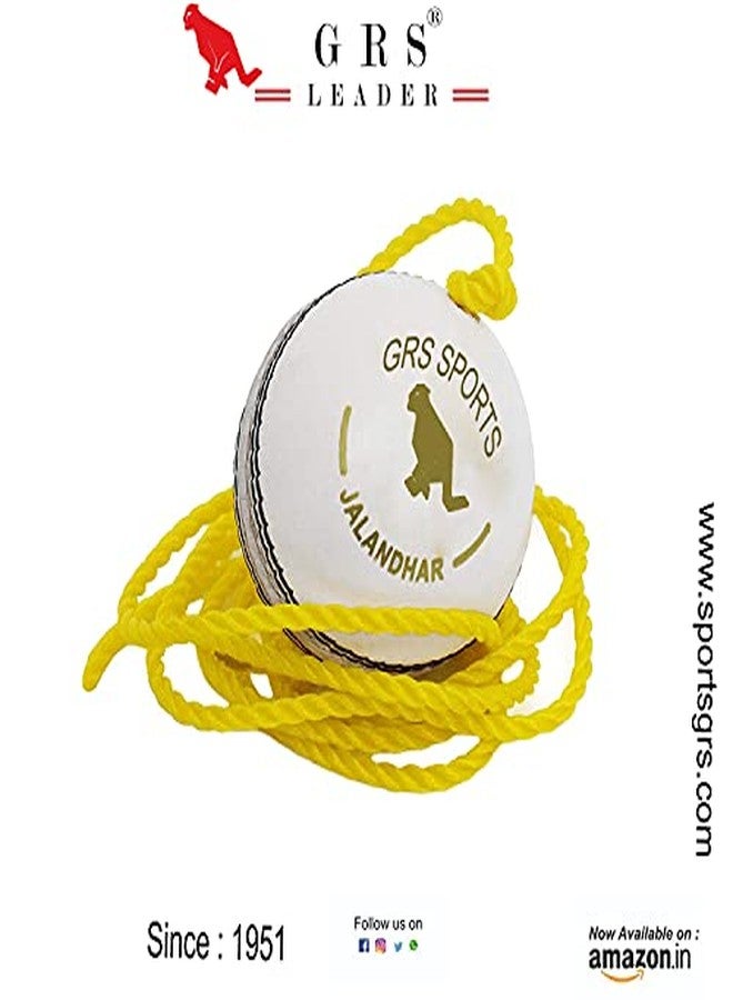 Grès GRS Cricket Hanging Ball (Training Ball, Ball with Rope) (Leather) - Image 3