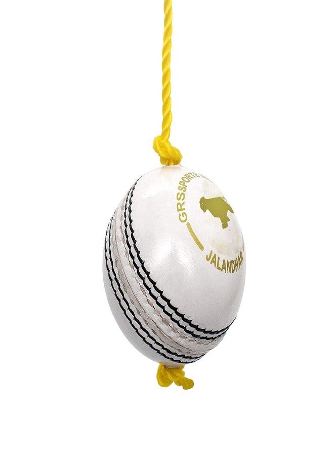 Grès GRS Cricket Hanging Ball (Training Ball, Ball with Rope) (Leather) - Image 4