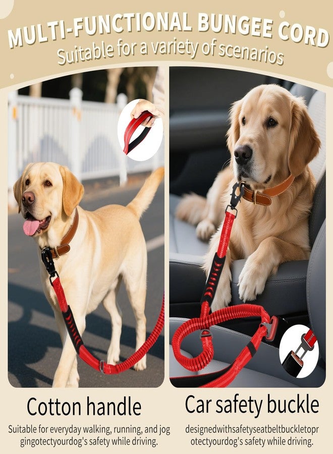 مقود كلاب مطاطي شديد التحمل من AIRUIDOG، مقود كلاب تكتيكي ماص للصدمات بطول 4-6 أقدام مع مقبضين مبطنين، مشبك كارابين معدني، مقود كلاب عاكس مضاد للشد للكلاب المتوسطة والكبيرة (أحمر) - Image 5
