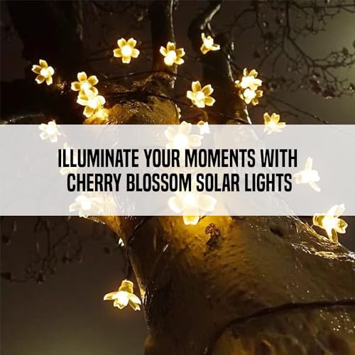 Gigawatts 30 LED Solar Cherry Blossom String Light | Solar Garden Light, Outdoor Decorative Flower Lights for Home, Garden, Yard, Patio, Driveway Décor (Pack of 1, Warm White) - Image 5