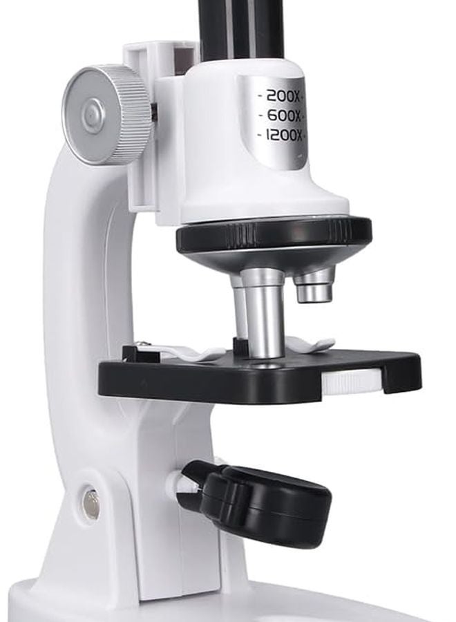 BRRNOO 200X1200X Compound Microscope with LED Illumination Sturdy Frame for School Home Education Beginners Adults - Image 3