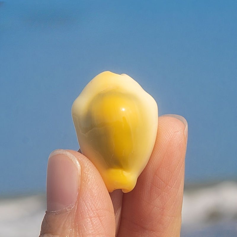 10PCS Huang Baoluo Miniature Ornaments for Aquariums Water Features Clothing Projects - Image 2