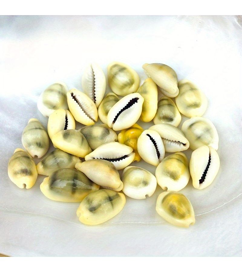 10PCS Huang Baoluo Miniature Ornaments for Aquariums Water Features Clothing Projects - Image 5
