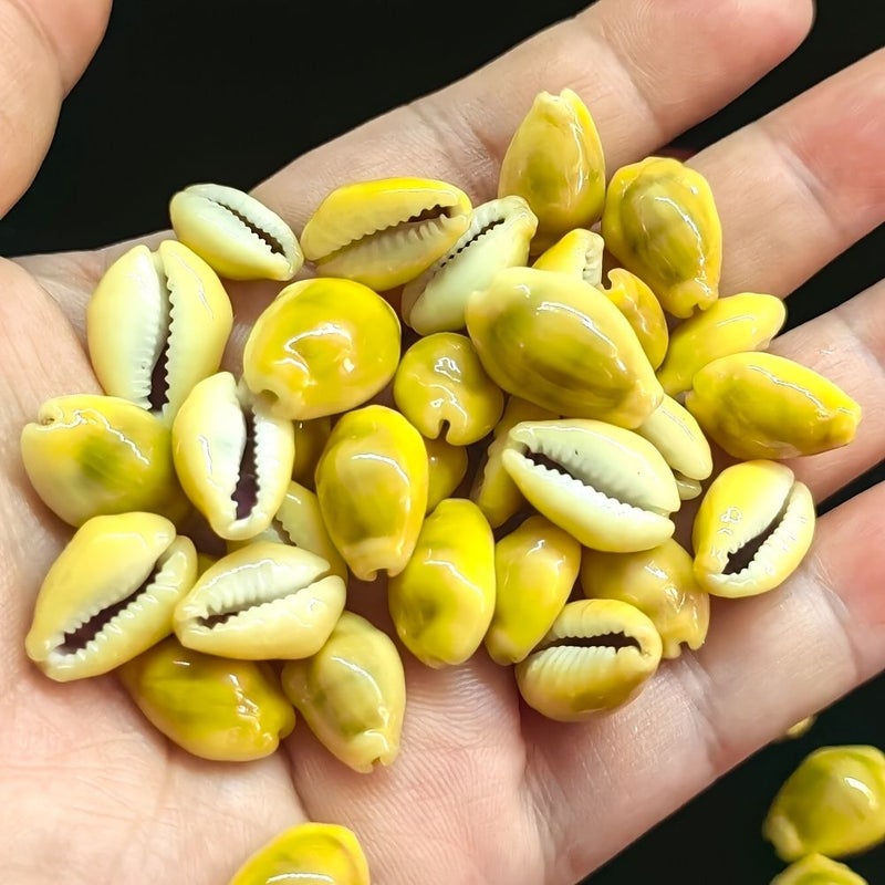 10PCS Huang Baoluo Miniature Ornaments for Aquariums Water Features Clothing Projects - Image 4