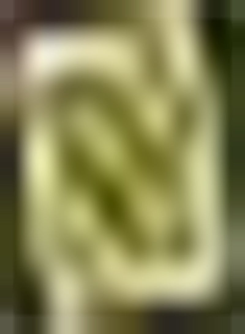 جي جوت 100 قطعة من حبيبات البازيليك المتنوعة من مجموعة متنوعة من الألعاب الخاصة البسيطة المتكيفة مع المبتدئين Essayer de Planter occupe peu d'espace Peut en Pot - Image 2