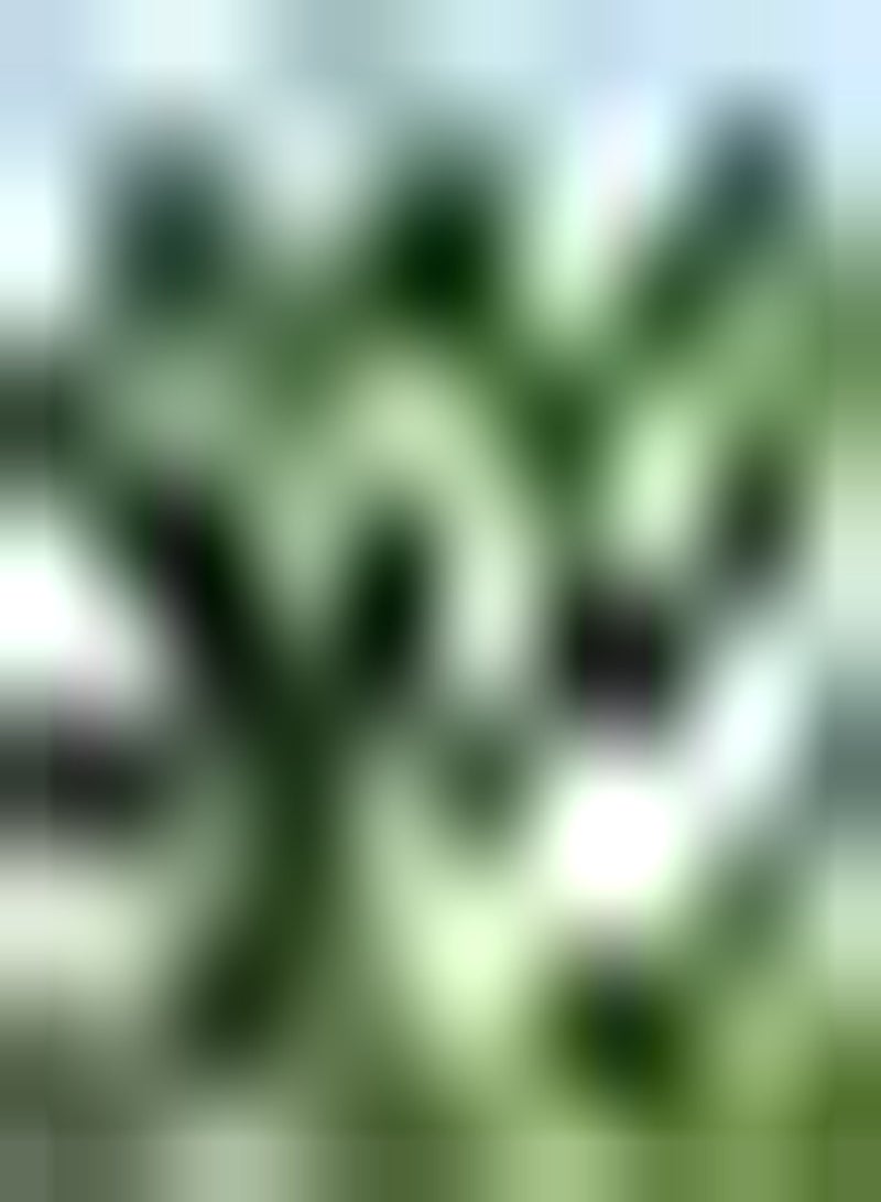 جي جوت 100 قطعة من حبيبات البازيليك المتنوعة من مجموعة متنوعة من الألعاب الخاصة البسيطة المتكيفة مع المبتدئين Essayer de Planter occupe peu d'espace Peut en Pot - Image 1