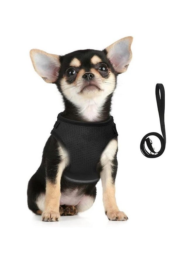 هارتس حزام عاكس للكلاب مع مقود قابل للتعديل | نسيج شبكي من البوليستر قابل للتنفس | مقاس XS | Ht-844 | قبضة مريحة لا تسحب | مشابك سريعة الفك | حزام سهل الارتداء والخلع | أسود - Image 1