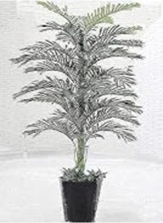 150 cm High Faux Palm Tree with Base - pzsku/Z2FCC9705249969F4752FZ/45/_/1724097879/0e595f8b-b53f-49dc-a492-a59ee9410911