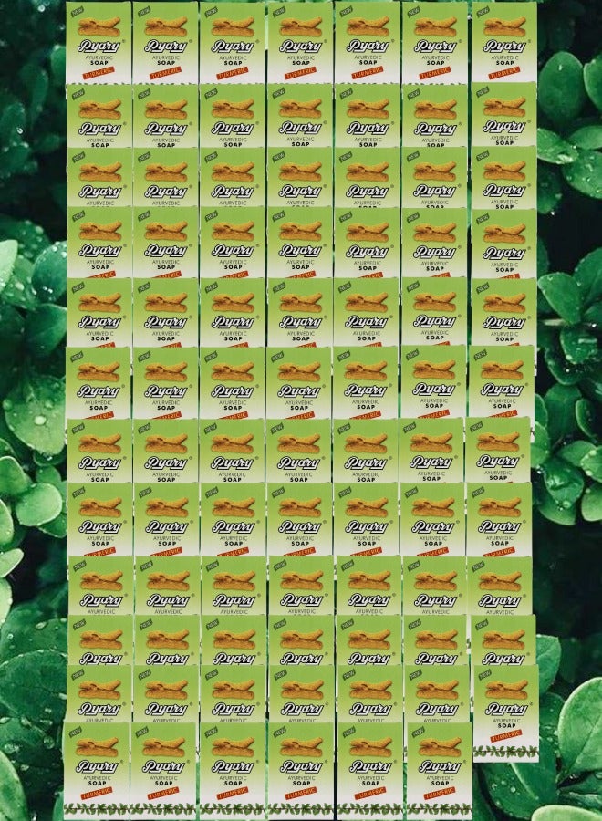 بياري 83 قطع صابون آيورفيدي كركم