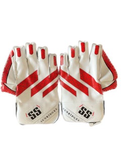 SS Dragon Wicket Keeping Gloves