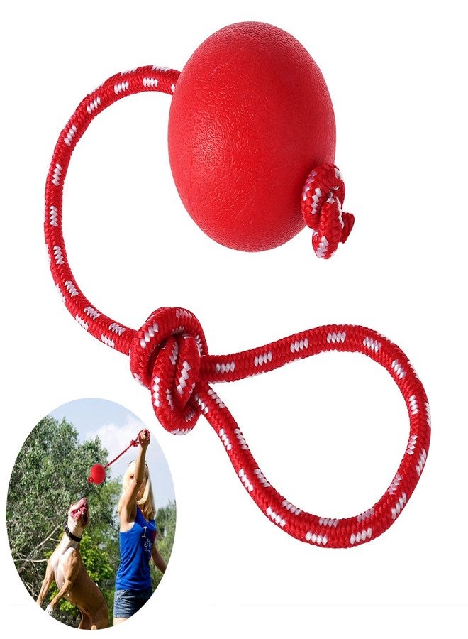 UEETEK Dog Training Ball on Rope : 2.95 Inch Diameter Rubber Rope Ball Dog Toy for Puppy Fetch Catch Throw Training (Red) - Image 1