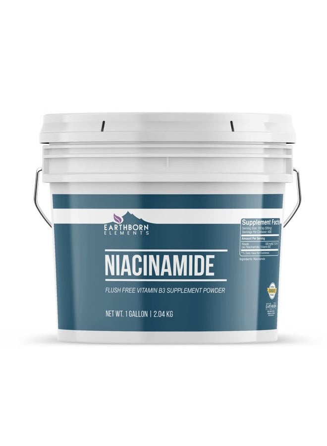 earthborn elements Niacinamide 1 Gallon, Flush Free Vitamin B3, Supplement Powder - Image 1