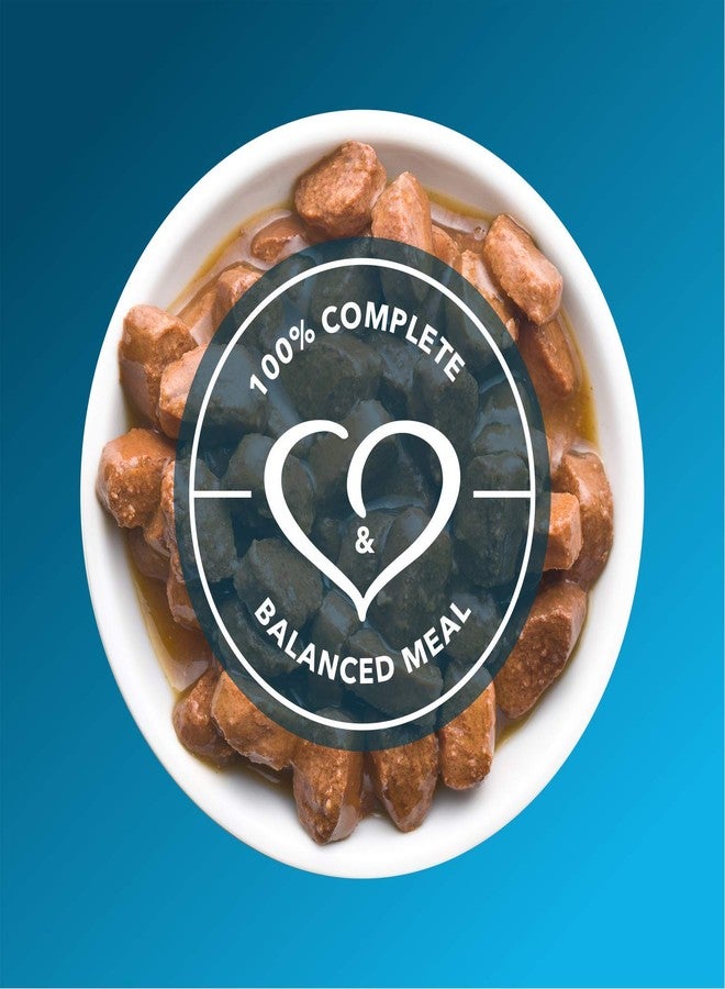 Meat Up Adult Wet Dog Food (8 x 70g) 560g + 560g (Free) 1120g| Real Chicken in Gravy| Buy 1 Get 1 | Healthy Digestion | Promotes Health & Vitality | Complete and Balanced Meal - Image 5