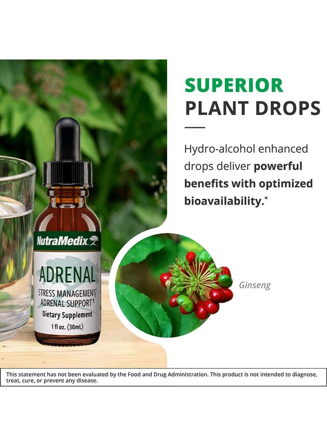 NutraMedix Adrenal Fatigue Supplement - Astragalus, Schisandra, Rhodiola, and Ginseng Extract for Energy Support, Stamina, and Stress - Vegan Adaptogen Blend (1oz / 30ml) - Image 5