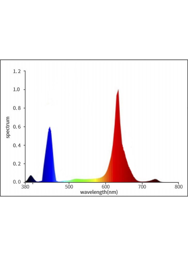 NIBEMINENT LED Full Spectrum Growing Lamp For Indoor Plants Multicolour - Image 5