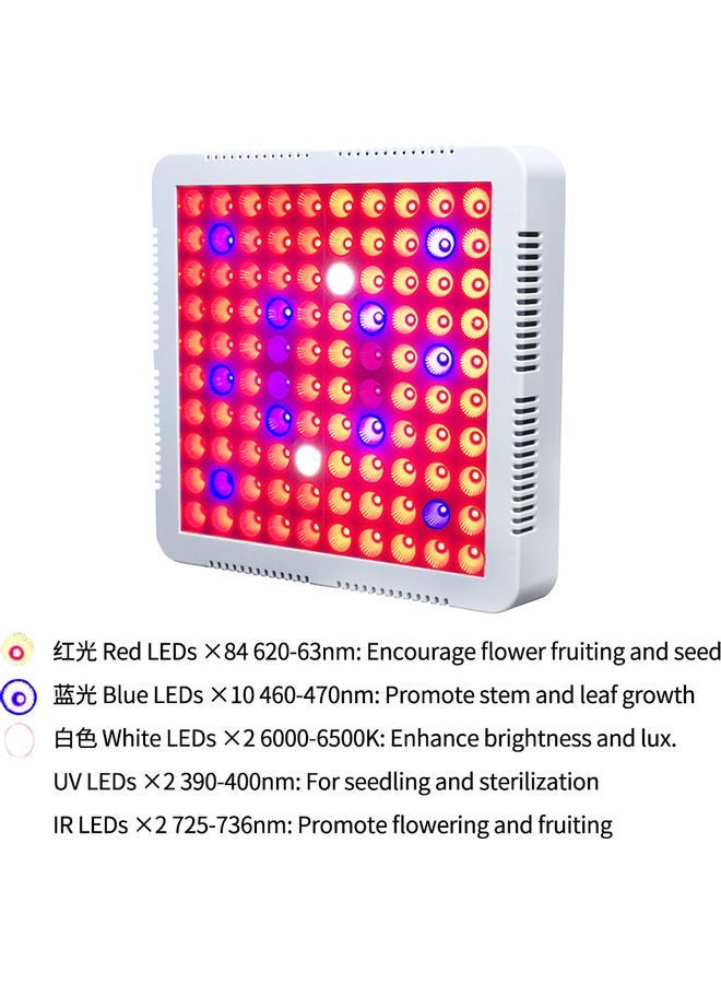 NIBEMINENT LED Full Spectrum Growing Lamp For Indoor Plants Multicolour - Image 4
