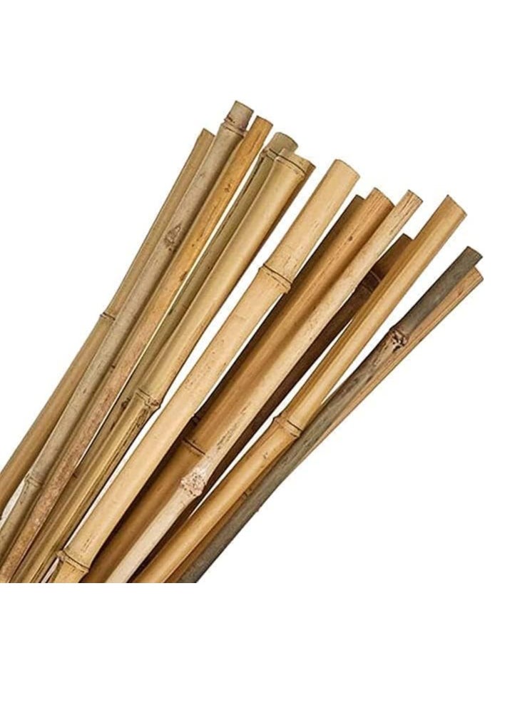 HOME TASTE - 60 Cm Natural Strong Bamboo Poles Plant Supporting Sticks for Indoor & Outdoor Garden 10 Pcs - Image 1