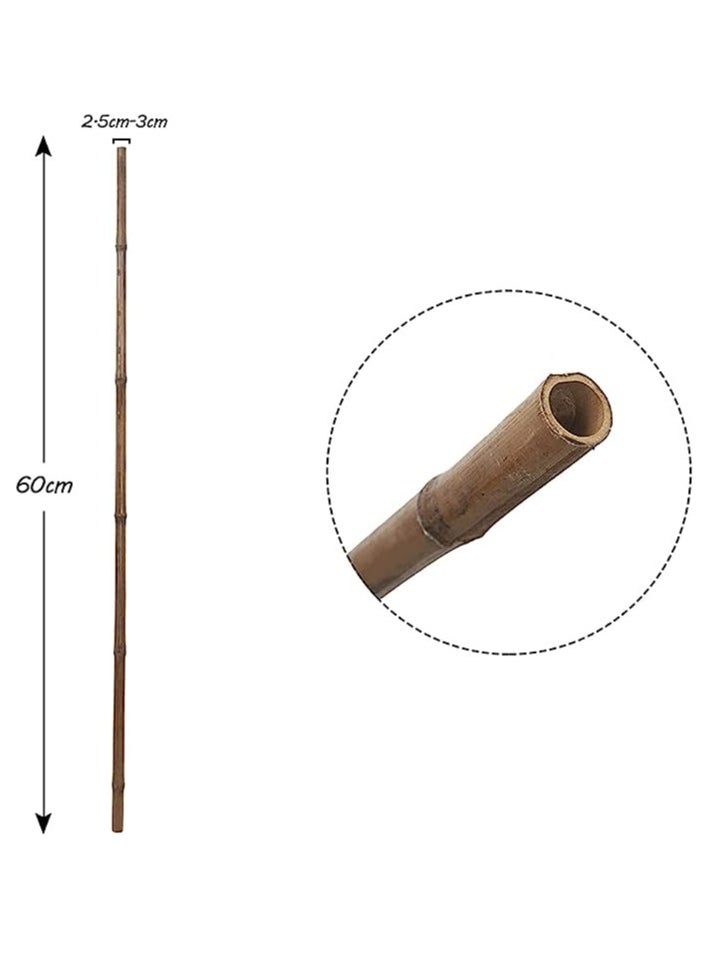 HOME TASTE - 60 Cm Natural Strong Bamboo Poles Plant Supporting Sticks for Indoor & Outdoor Garden 10 Pcs - Image 1