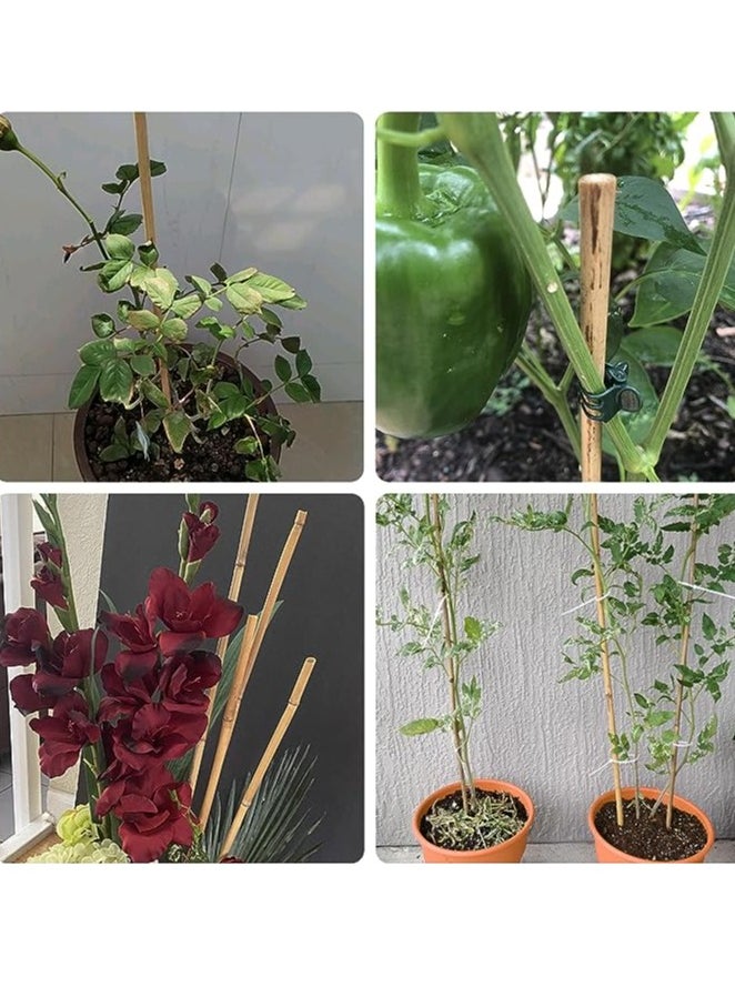 HOME TASTE - 60 Cm Natural Strong Bamboo Poles Plant Supporting Sticks for Indoor & Outdoor Garden 10 Pcs - Image 1