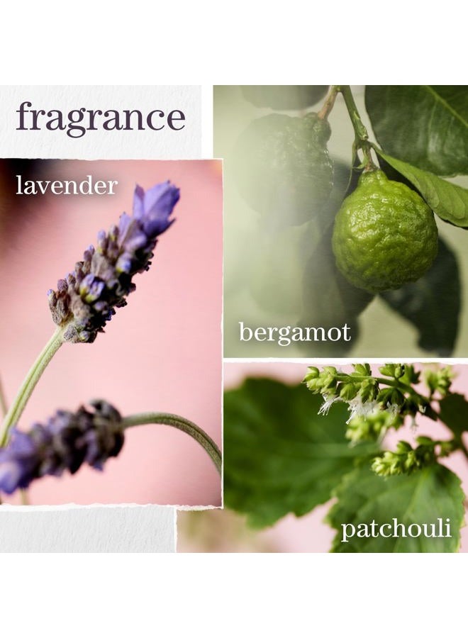 PUREOLOGY شامبو مغذي شفاف مرطب | للشعر الناعم والجاف المعالج بالألوان | خالي من الكبريتات | خالي من السيليكون | نباتي