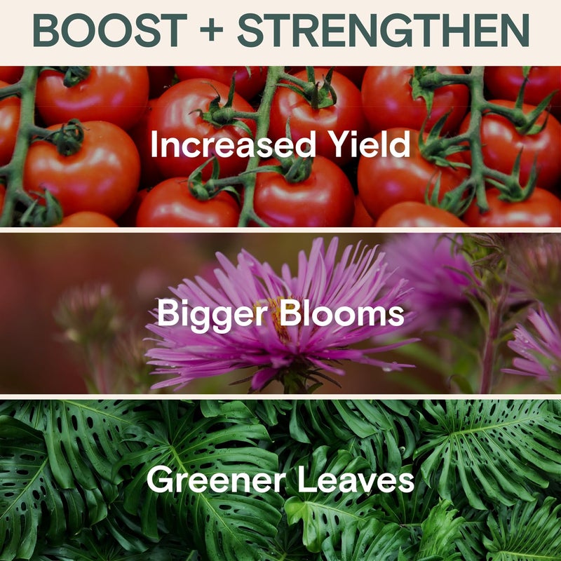 Arber Organic Plant Food Liquid Fertilizer â€“ Indoor & Outdoor Concentrate for Growth, Immunity & Bloom â€“ Houseplants & Garden Fertilizer â€“ Supports Strong Roots, Lush Foliage, High-Yield Harvests - Image 3