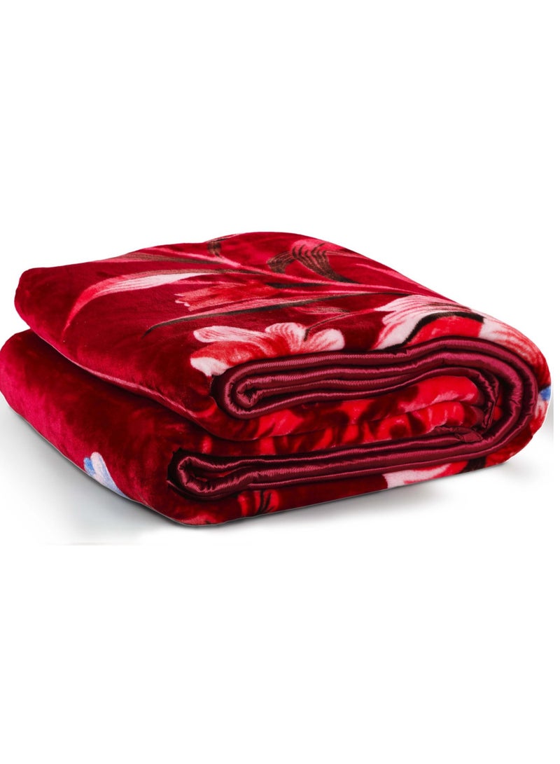 Ice bear havy blanket