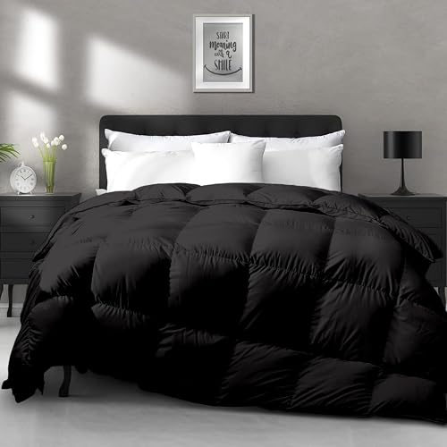 EDMUND Hypoallergernic 400 GSM 100% Cotton Comforter 60X90 Inches Single Bed Duvet/Rajai - 400 TC Winter Collection Premium Comforter|Black - Image 2