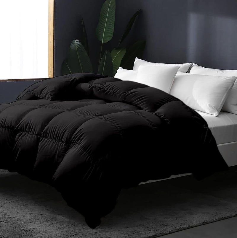 EDMUND Hypoallergernic 400 GSM 100% Cotton Comforter 60X90 Inches Single Bed Duvet/Rajai - 400 TC Winter Collection Premium Comforter|Black - Image 1