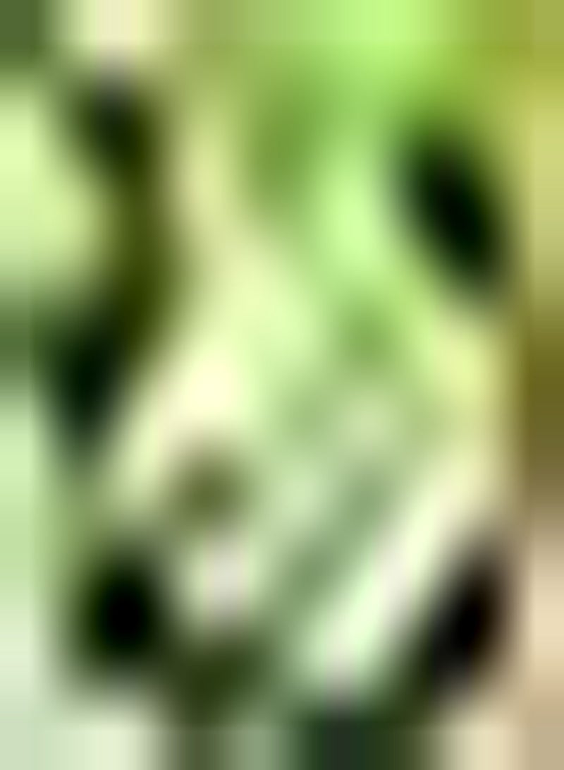 GGOOT 30pcs Watermelon Seeds for Planting Improve The Environment and Create an Elegant and Unique Atmosphere Rich in Multivitamins - Image 1