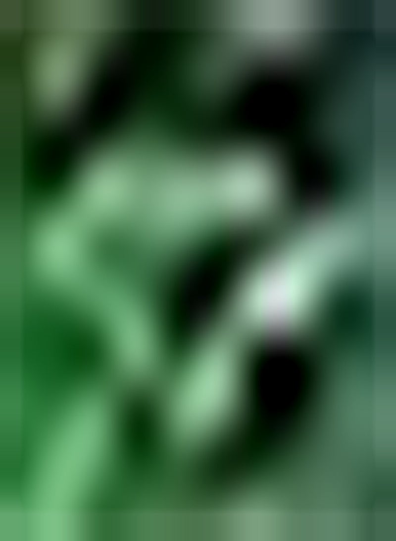 GGOOT 30pcs Watermelon Seeds for Planting Improve The Environment and Create an Elegant and Unique Atmosphere Rich in Multivitamins - Image 2