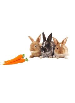 Deli Nature Mixed rabbit food 800 grams  - Image 2