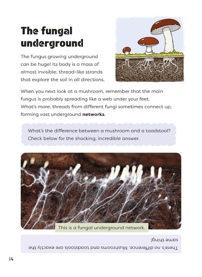 Readerful Independent Library: Oxford Reading Level 14: Do Trees Have an Internet?