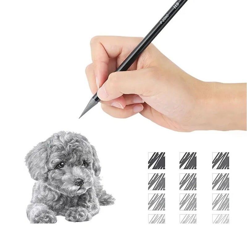 PUSHKH Professional Sketching & Drawing Artist Pencils, Pencils Pack of 12 with B 2B 3B 4B 5B 6B 7B 8B 9B 10B HB 2H - Image 4