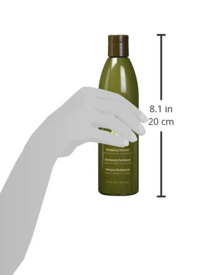 Hair Chemist Macadamia Revitalizing Shampoo 10 Ounce - Image 4