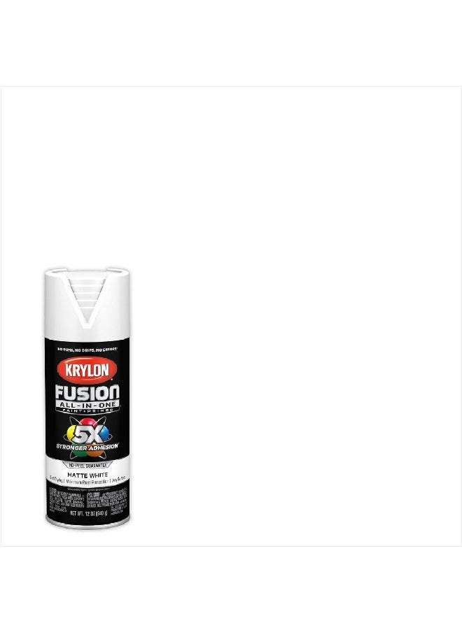 Fusion All-In-One Spray Paint and Primer Matte White 12oz K02764007