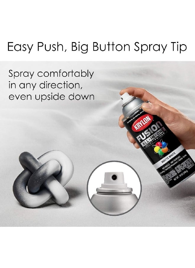 Fusion All-In-One Spray Paint and Primer Matte White 12oz K02764007