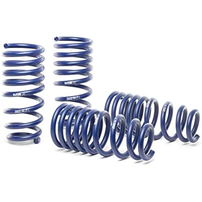 288436 Lowering Springs