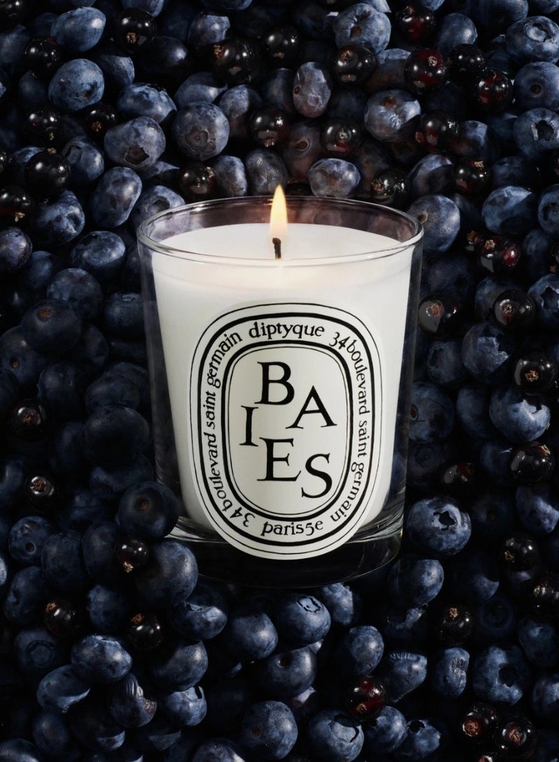 Diptyque Baies Candle-6.5 oz,Berry Fragrance for Home Decor & Relaxation - Image 3