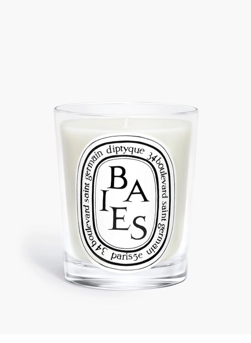 Diptyque Baies Candle-6.5 oz,Berry Fragrance for Home Decor & Relaxation - Image 1
