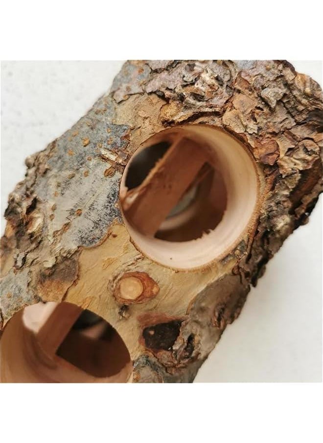 Generic - Apple Wood Swing for Sugar Gliders, S - Image 1
