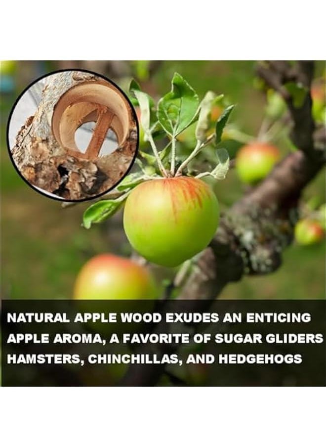 Generic - Apple Wood Swing for Sugar Gliders, S - Image 1