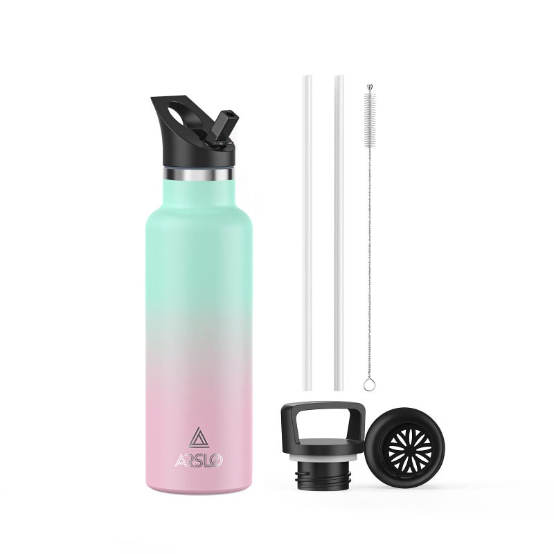 Stainless Steel Water Bottle with Straw Insulated Water Bottle for Sports Gym School Commute AdultsKids Keep Cold for up to 24 Hours SweatLeakproof 2 Lids BPA Free