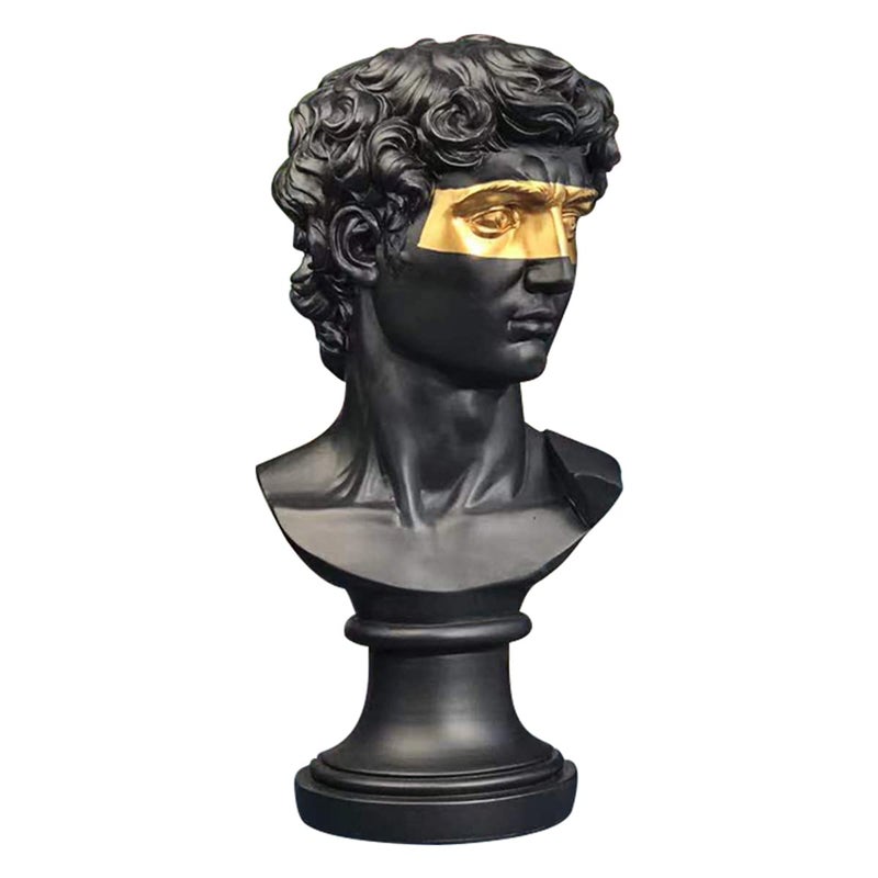 ECYC 1575 inch Greek David Statue Mask David Bust Resin Sculptures Figurine Modern Home Ornament for Home Office Desk Decor Black