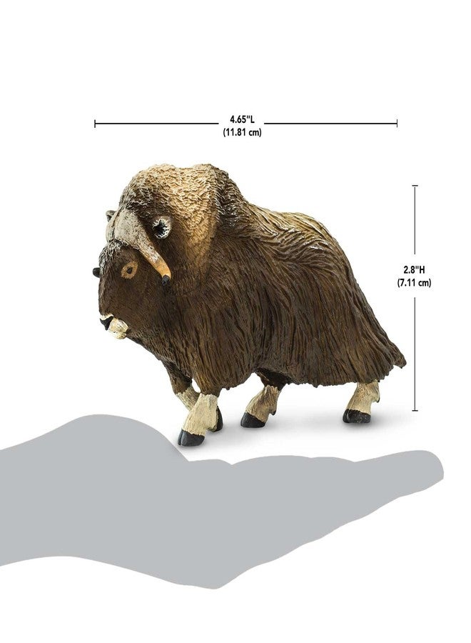 Safari Ltd. Muskox Figurine - Detailed 3.5" Plastic Model Figure - Educational Arctic Wildlife Play Toy for Boys, Girls and Kids Ages 3+ - Image 3