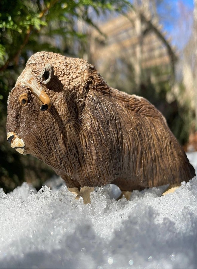 Safari Ltd. Muskox Figurine - Detailed 3.5" Plastic Model Figure - Educational Arctic Wildlife Play Toy for Boys, Girls and Kids Ages 3+ - Image 2