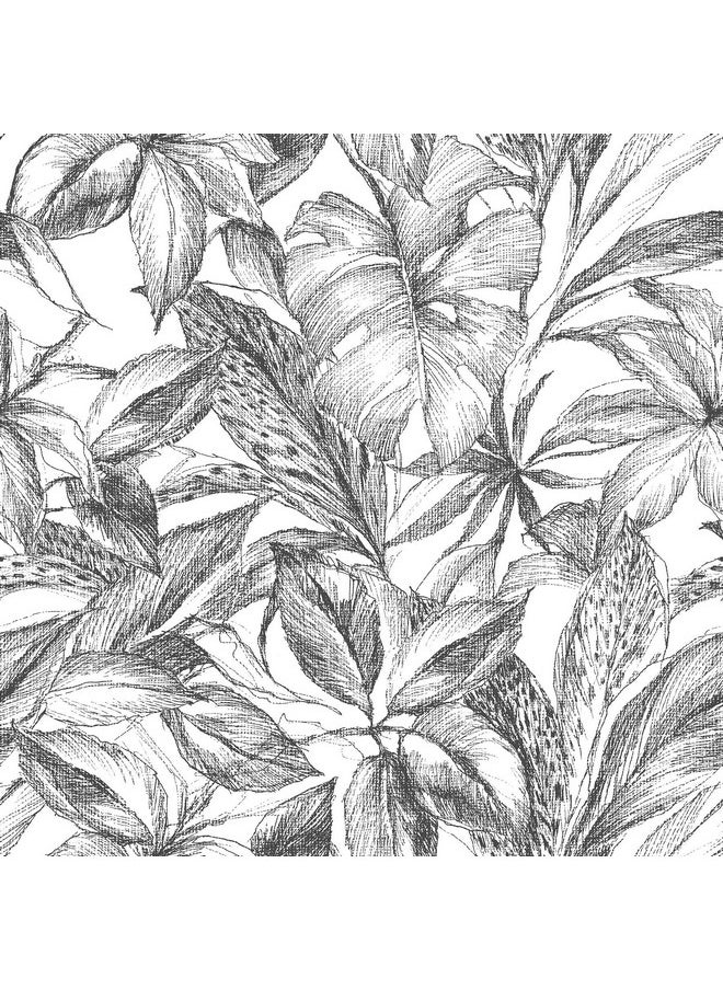 NuWallpaper Nus3498 Canopy Peel & Stick Wallpaper Black  - Image 1