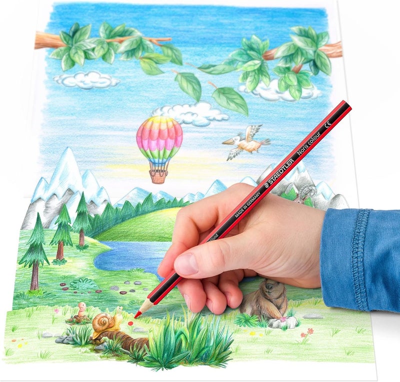 ستدلر أقلام تلوين ستيدلر نوريس - ٢٤ لونًا متنوعًا - Image 5